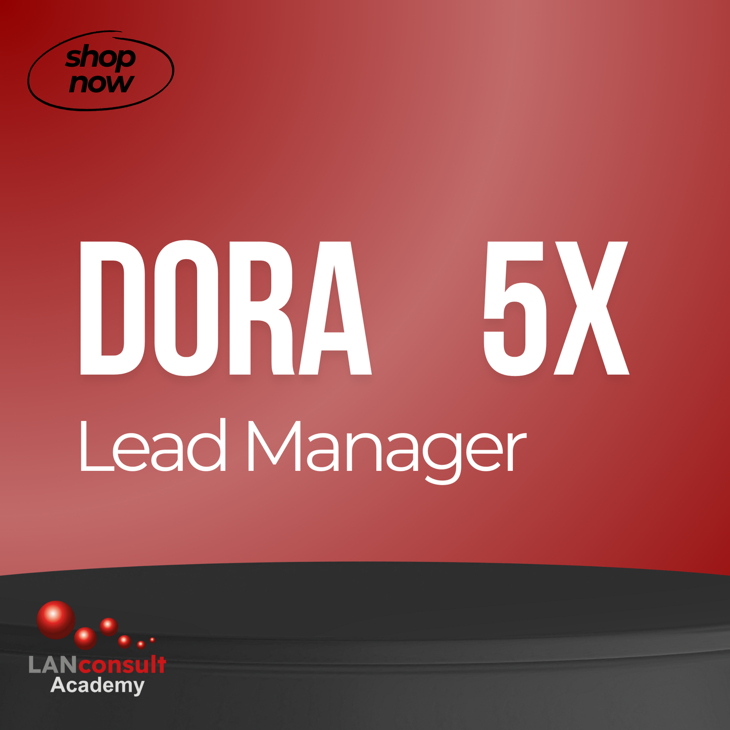 BUNDLE: 5x PECB DORA Lead Manager (Virtual Classroom — Trainer-Led, 5 Days + Exam + Certification)